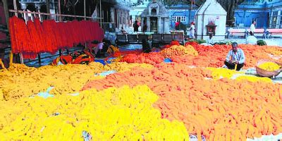 We did not find results for: Flower Donation