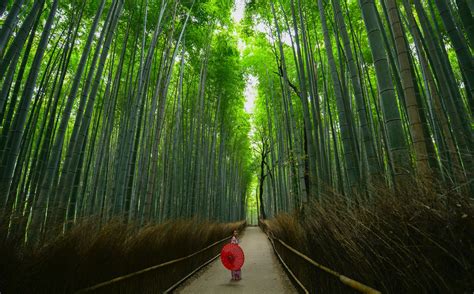10 Things To Do In Kyoto Prefecture Japan Suggested Tours In Kyoto