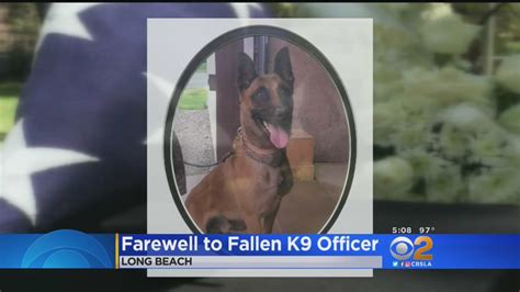 Touching Memorial Held For Long Beach Police Dog Killed In Line Of Duty