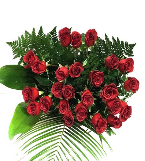 Ramo De 25 Rosas Rojas ♡ Con Envío Gratis【boxflora】