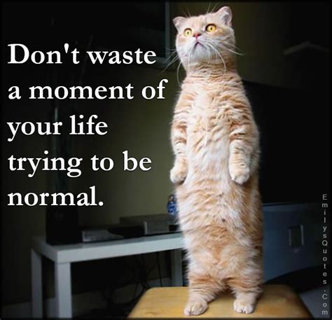 Dont Waste A Moment Of Your Life Trying To Be Normal Popular