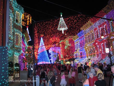 Christmas Lights At Disney World Christmas Decorating