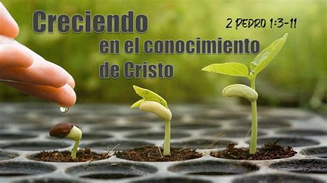 Creciendo En El Conocimiento De Cristo 2 Pedro 13 11 Berith