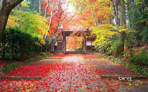 Microsoft Bing Hd Wallpapers Japanese Landscape Theme Wallpaper 1