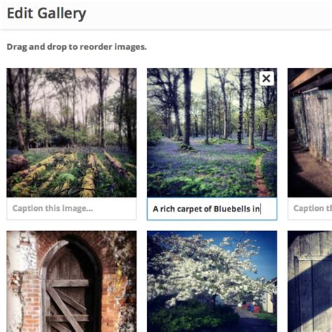 How To Add A Photo Gallery In Wordpress A Beginners Tutorial