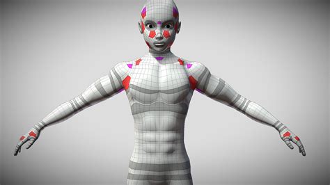 Male Body Topology Buy Royalty Free 3d Model By Ed Ed3dblend