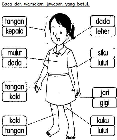 Modul abc prasekolah tadika dan ppki terkini. BAHASA MALAYSIA PRASEKOLAH: Latihan Badan Saya