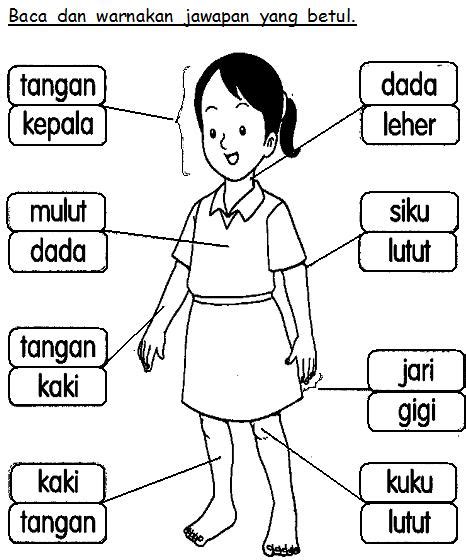 Pentaksiran bilik darjah (pbd) 3. BAHASA MALAYSIA PRASEKOLAH: Latihan Badan Saya