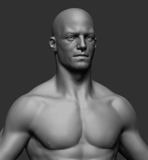 Maybe you would like to learn more about one of these? Male Anatomy v2 3D model | CGTrader