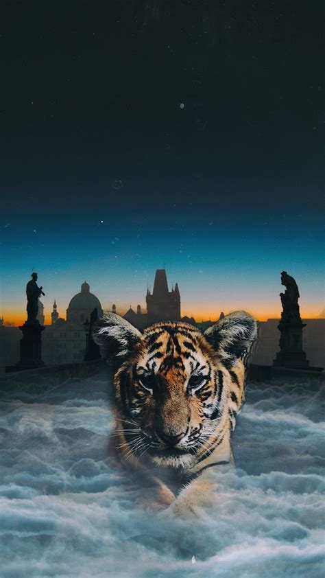 Download Wallpaper 1080x1920 Tiger Cub Photoshop Clouds Night