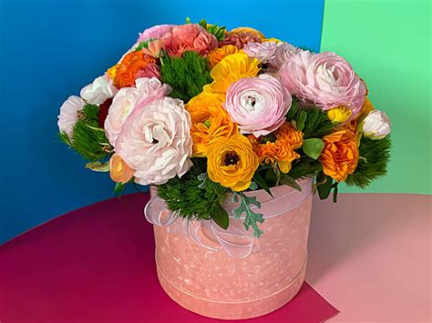 Vibrant Persianasian Buttercup Ranunculus In Shades Of Pink Yellow And