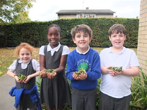 Grove Park Primary School Tes Jobs
