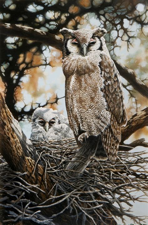 Verreauxs Eagle Owl Terence Archibald