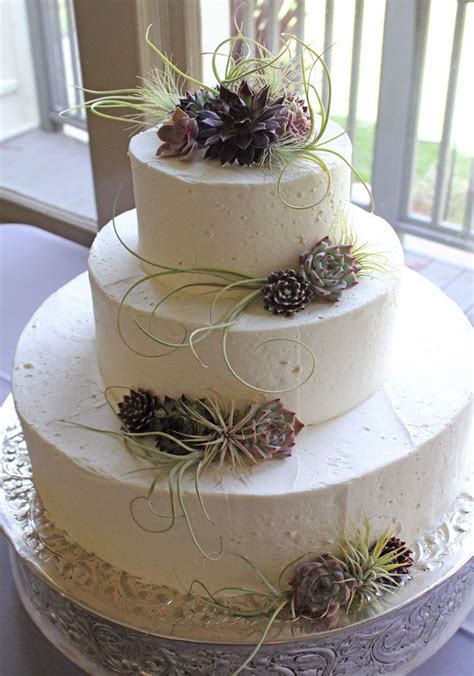 Succulent Wedding Cake A Hundred Succulent Cakes Pinterest