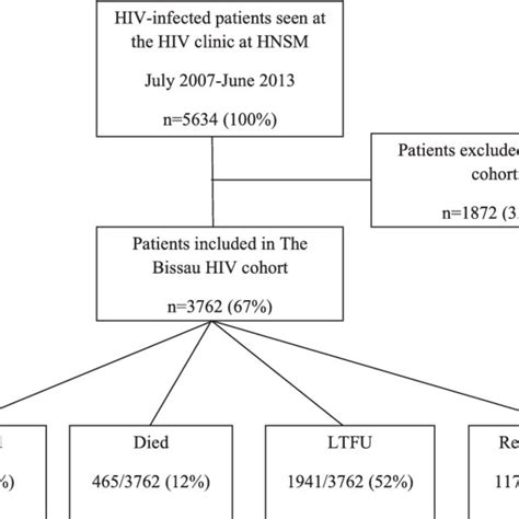 Patient Flow At The Hiv Clinic At Hnsm And Outcome By December 2013