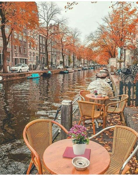 Autumn Leaves Amsterdam Travel Amsterdam Photography Amsterdam Hotel