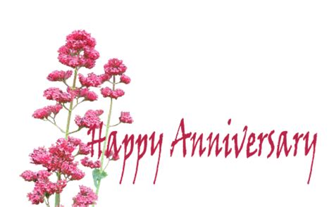Happy Anniversary | Happy anniversary, Anniversary greetings, Anniversary