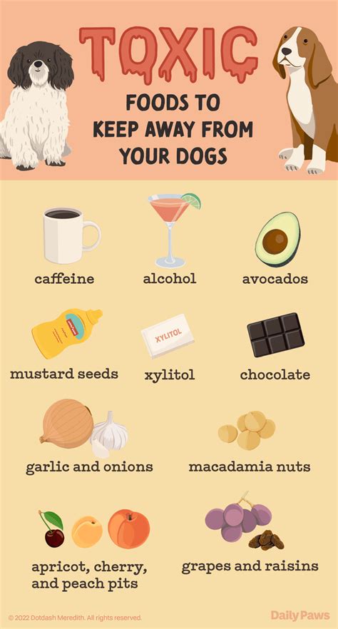 10 Toxic Foods For Dogs To Avoid
