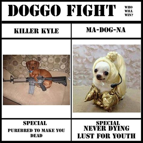 Doggo Fight