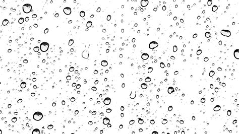 Raindrops High Definition Video Desktop Wallpaper Clip Art Rain Png