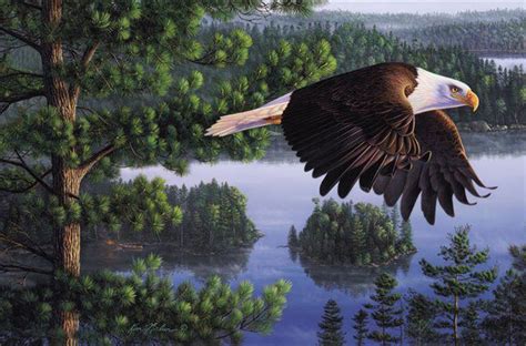 Serenity Paintings By Kim Norlien Amo Images Amo Images Eagle Wall