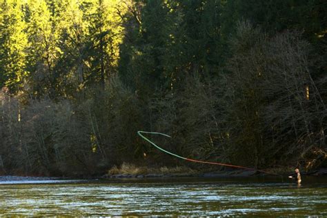 Sandy River Winter Steelhead Fishing Trip Little Creek Outfitters And Guide
