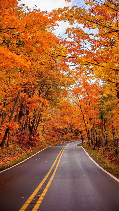 1920x1080px 1080p Free Download Autumn Fall Road Hd Phone