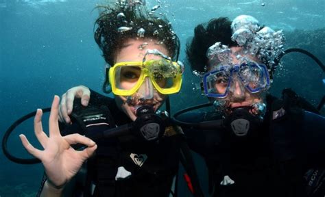 Resort Scuba Diving Day Tours Dive Trips