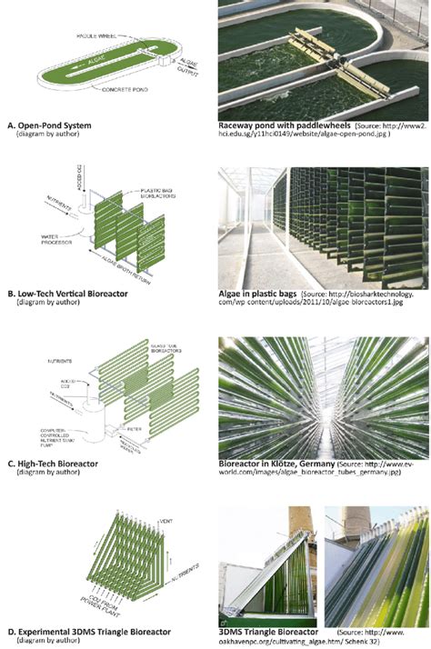 Algae Cultivation Methods Download Scientific Diagram