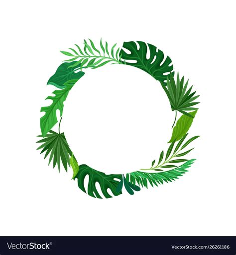 round frame tropical leaves royalty free vector image