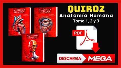 Bontrager's handbook of radiographic positioni. Libro Posiciones Radiologicas Bontrager Pdf Gratis ...