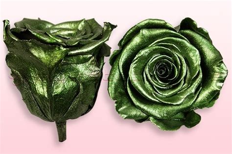 Konservierte Rosen Metallic Grün