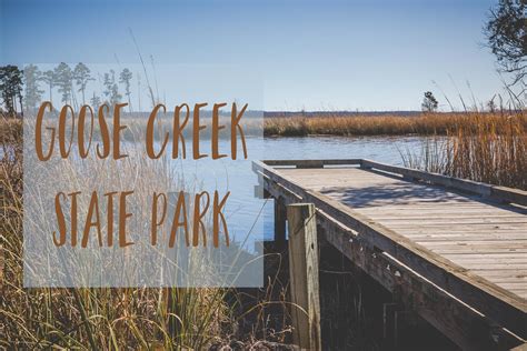 Goose Creek — The Restless Wild