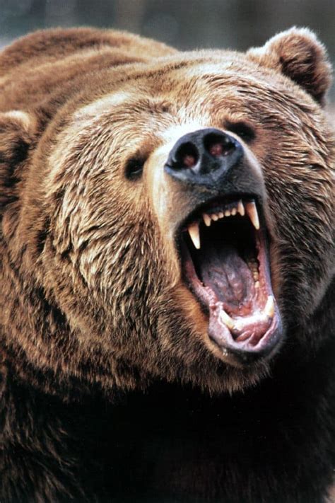 Bear Market Is Far From Over Credit Writedowns
