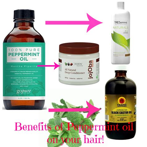 Benefits of peppermint oil for hair hair type considerations. The Benefits Of Using Peppermint Oil For Hair Growth ...