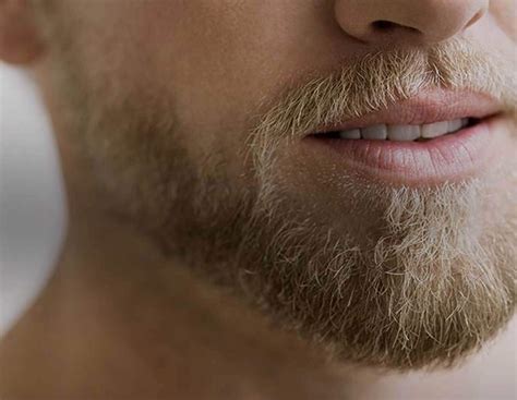 Top Beard Styles For Men Gillette On Demand