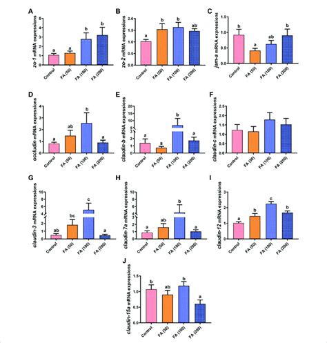 Relative MRNA Expression Of Tight Junction Protein Genes The Zonula