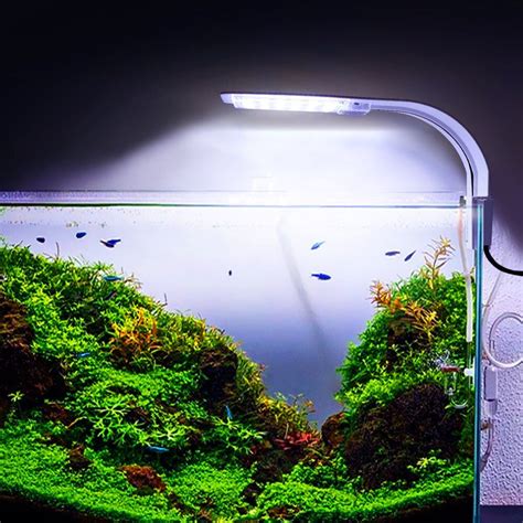 Eu Plug Ultra Bright 10w Led Aquarium Light Clip On Fish Tank Lights