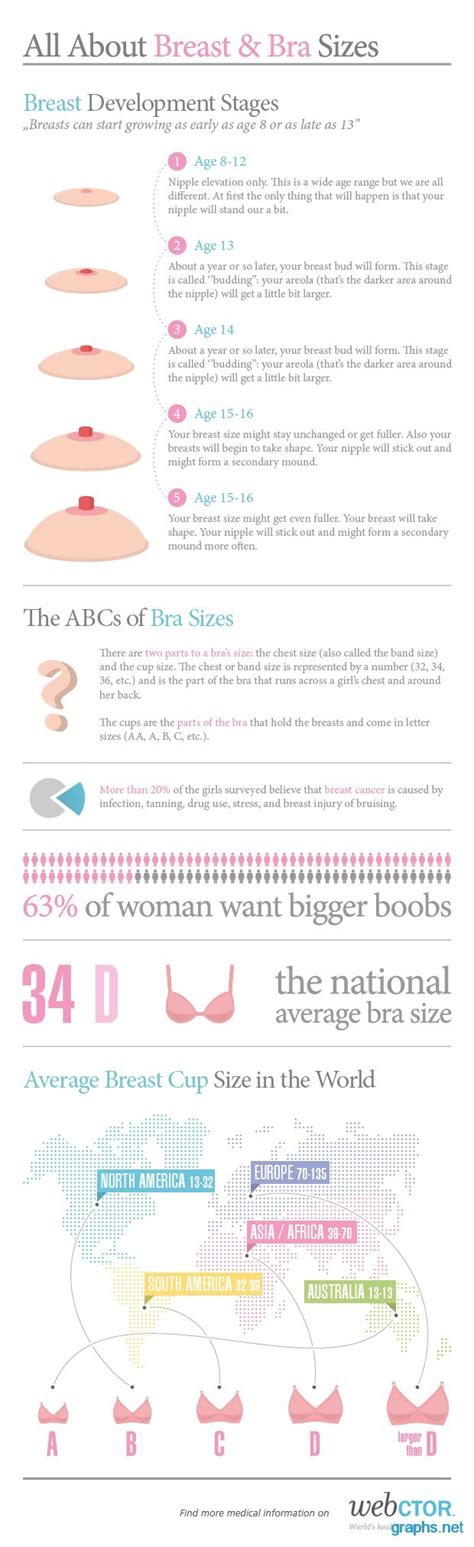 Breast Development Stages Chartgraph Infographics