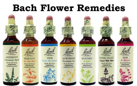 Original Bach Flower Remedies Information And Sale Infobachflower