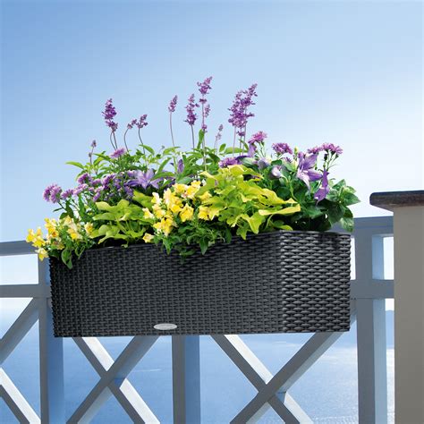 Balcony Flower Pots Order Planters Online Today 0710558855