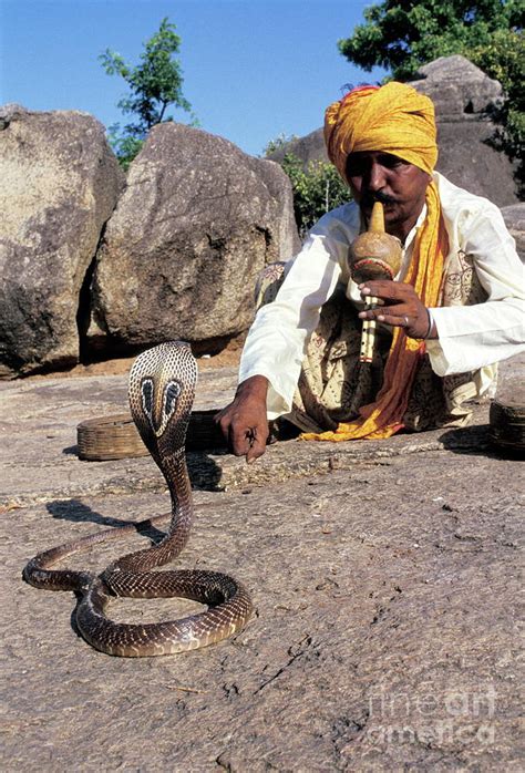 Snake Charmer Photograph By Pascal Goetgheluckscience Photo Library