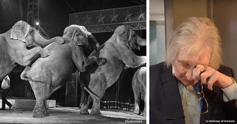 Watch Former Elephant Keeper Reveals Shocking Circus Secrets