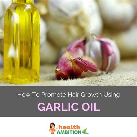 Many considered it the best carrier oil for hair growth. Can Garlic Oil Promote Hair Growth? - Health Ambition