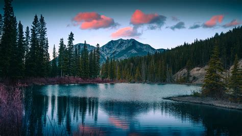 Download Wallpaper 2560x1440 Lake Mountains Forest