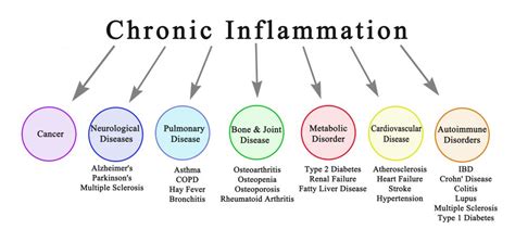 Is Inflammation Contributing To Your Health Issues Nurtured Bones