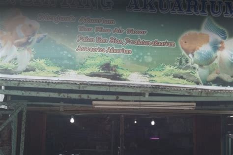 √ 10 Rekomendasi Toko Aquarium Di Samarinda Lengkap And Murah