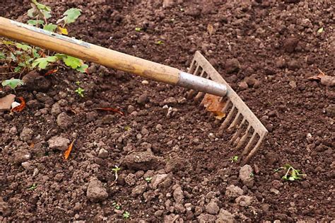 Most Common Gardening Tools and Their Uses gambar png