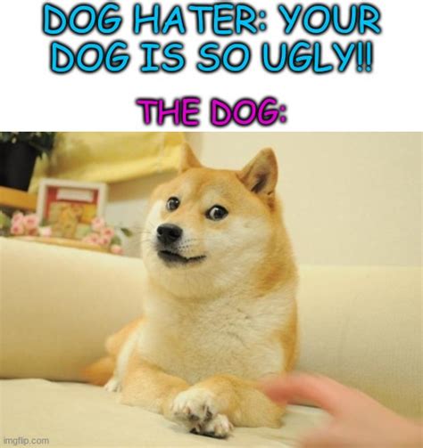 Image Tagged In Memesdoge 2dogscats Are Badoh Wow Are You Actually