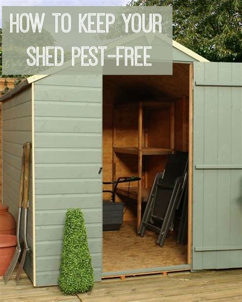 How To Create And Maintain A Pest Free Shed Love Chic Living